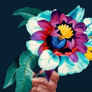 Meet your Posher, Nikki